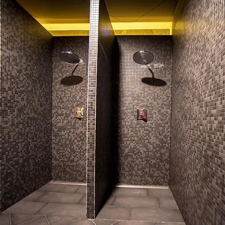Studio Apartment Brigerbad